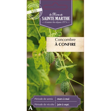 CONCOMBRE A CONFIRE BIO