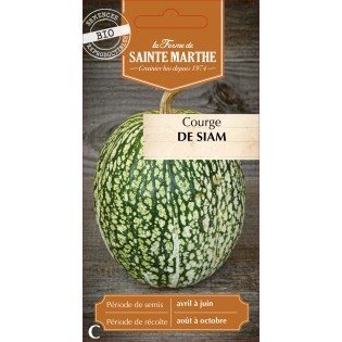 COURGE DE SIAM BIO