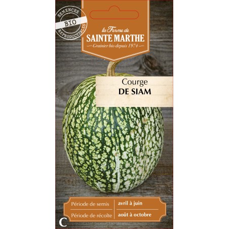 COURGE DE SIAM BIO