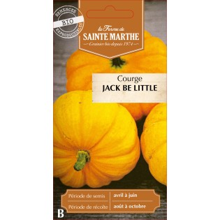 COURGETTE JACK BE LITTLE BIO