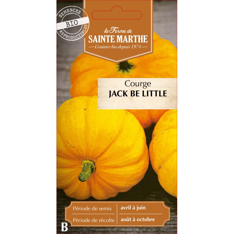 COURGETTE JACK BE LITTLE BIO