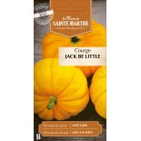 COURGETTE JACK BE LITTLE BIO