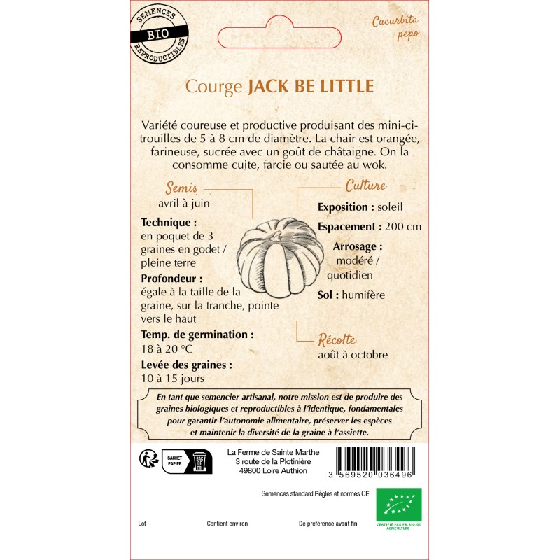 COURGETTE JACK BE LITTLE BIO