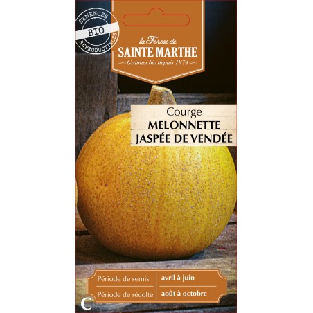 COURGETTE MELON JASPEE DE VENDE BIO