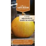 COURGETTE MELON JASPEE DE VENDE BIO