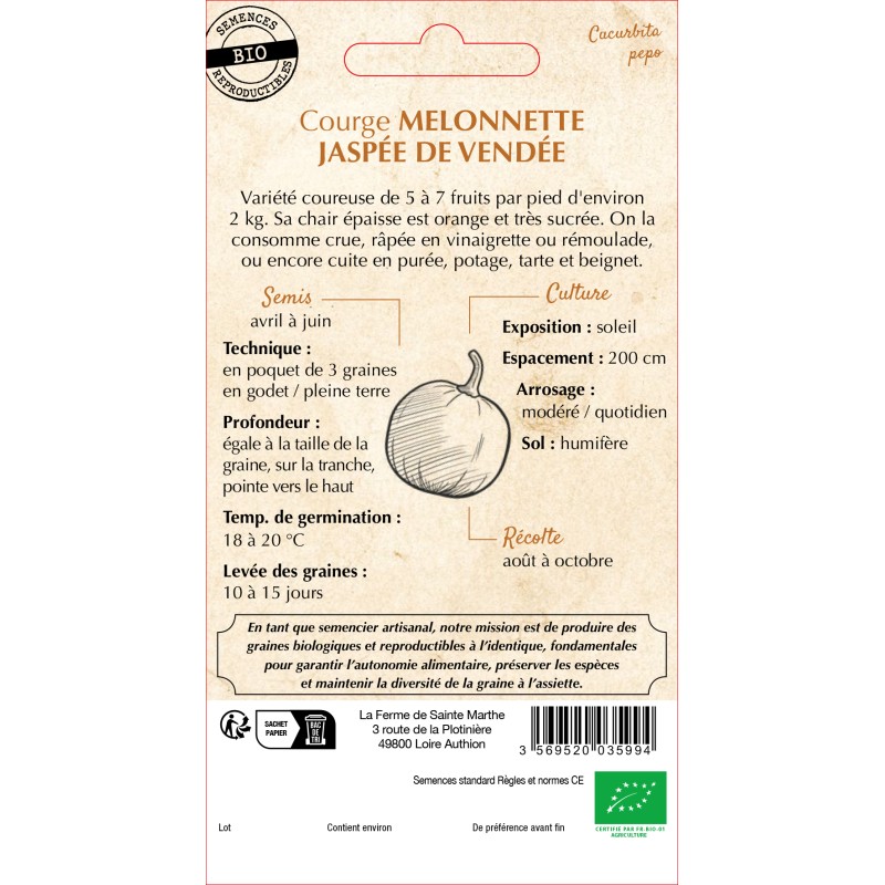 COURGETTE MELON JASPEE DE VENDE BIO