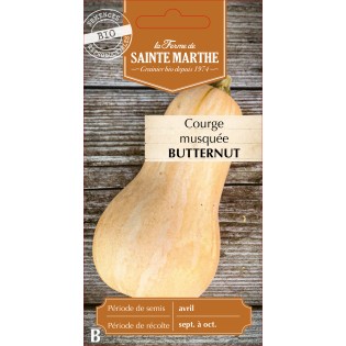 COURGE MUSQUEE BUTTERNUT BIO