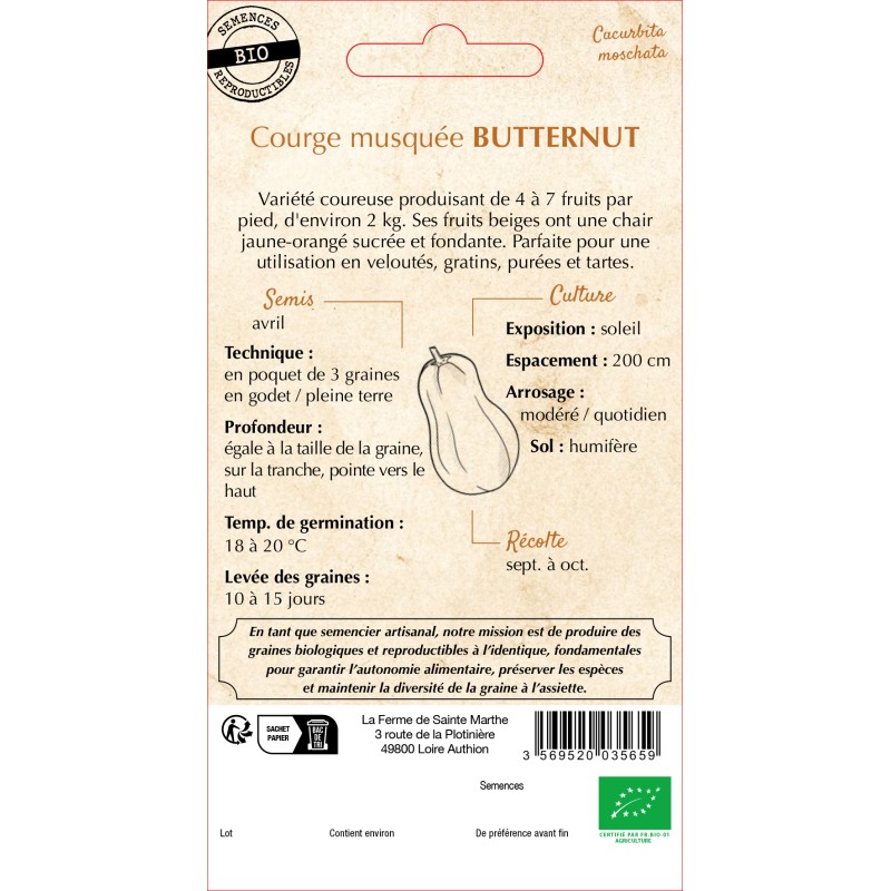 COURGE MUSQUEE BUTTERNUT BIO