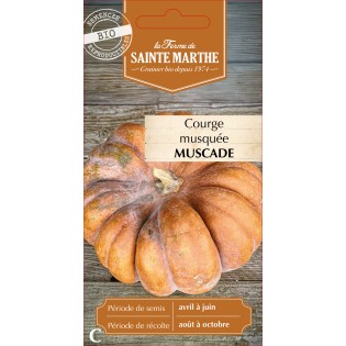 COURGE MUSQUEE MUSCADE BIO