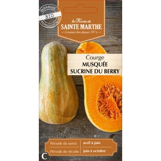 COURGE MUSQUEE SUCRINE DU BERRY BIO