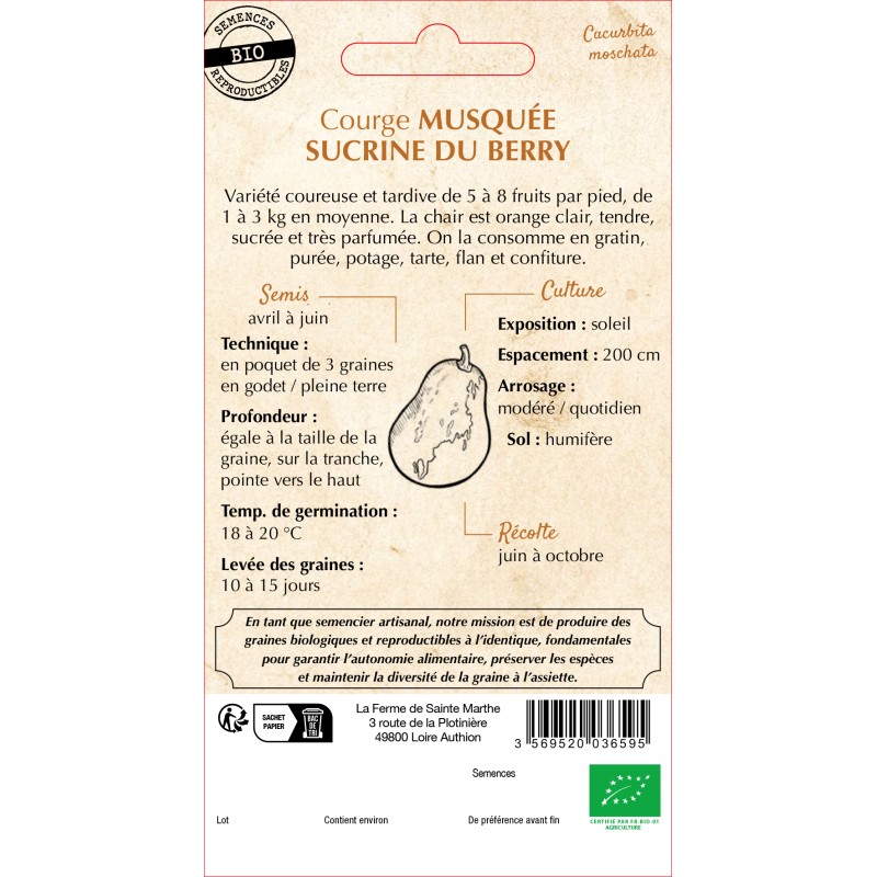 COURGE MUSQUEE SUCRINE DU BERRY BIO