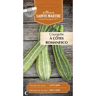 COURGETTE A COTES ROMANESCO BIO