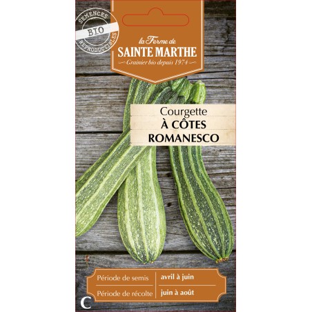 COURGETTE A COTES ROMANESCO BIO