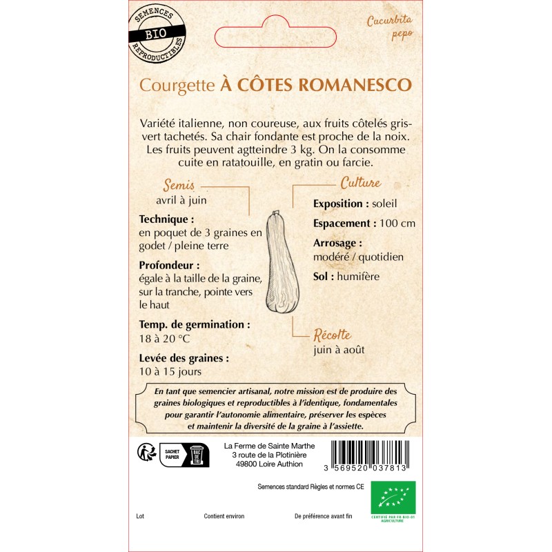 COURGETTE A COTES ROMANESCO BIO