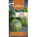 COURGETTE DE NICE A FRUIT ROND BIO