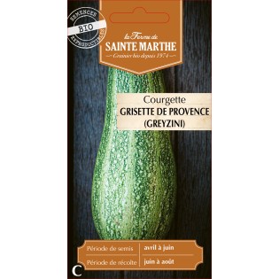 COURGETTE GREYZINI BIO