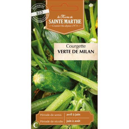COURGETTE VERTE DE MILAN BIO
