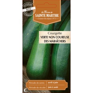 COURGETTE VERT NON COUREUSE DES BIO