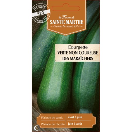 COURGETTE VERT NON COUREUSE DES BIO