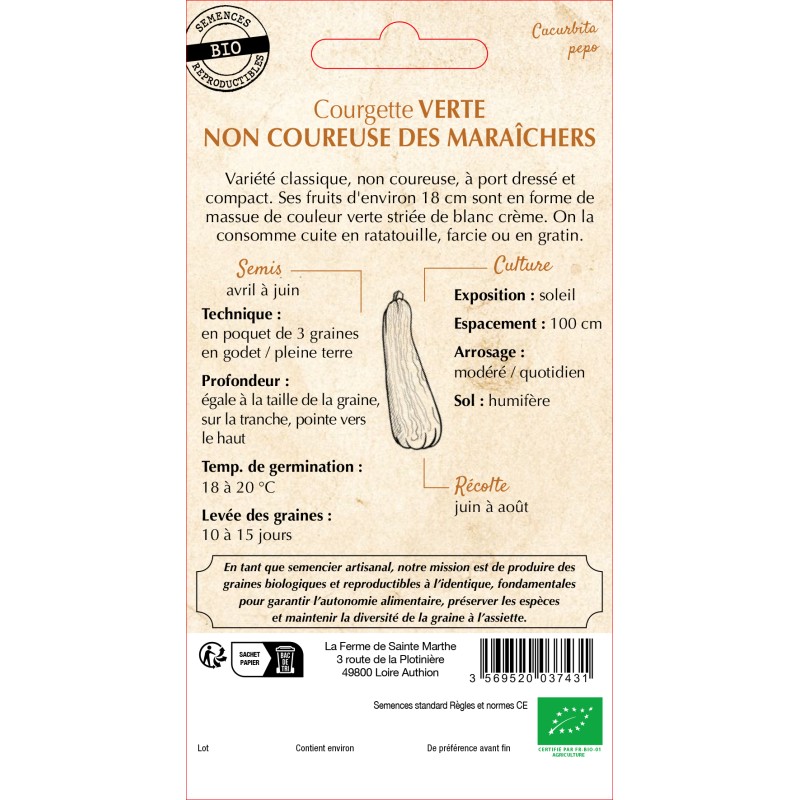 COURGETTE VERT NON COUREUSE DES BIO