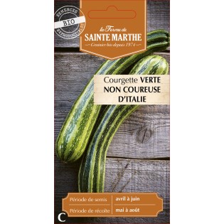 COURGETTE VERTE NON COUREUSE D Italie BIO