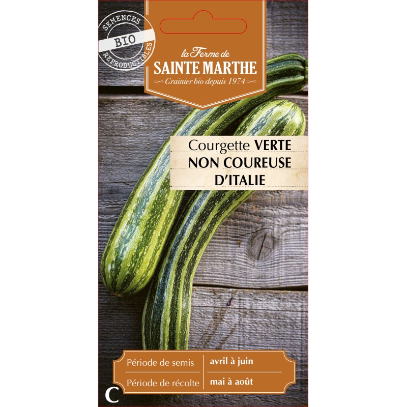 COURGETTE VERTE NON COUREUSE D Italie BIO