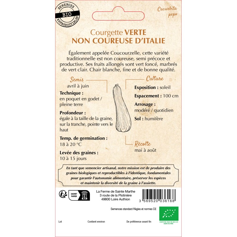 COURGETTE VERTE NON COUREUSE D Italie BIO