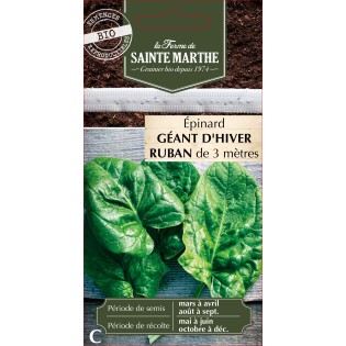 RUBAN EPINARD GEANT D'HIVER BIO