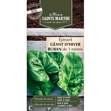 RUBAN EPINARD GEANT D'HIVER BIO