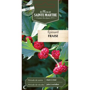EPINARD FRAISE BIO