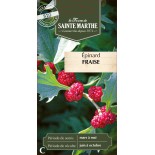 EPINARD FRAISE BIO