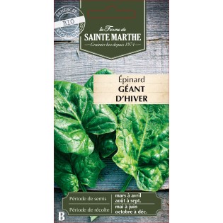 EPINARD GEANT D'HIVER BIO