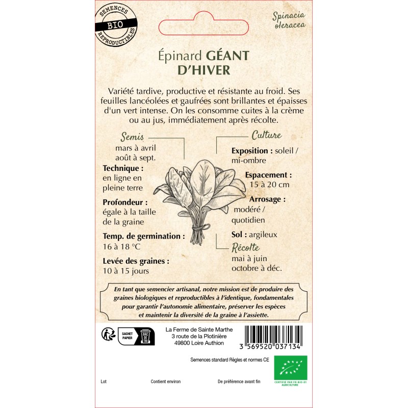 EPINARD GEANT D'HIVER BIO