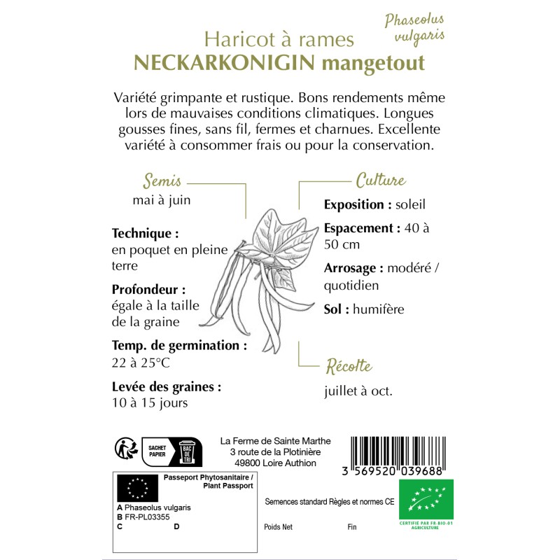 HARICOT A RAME NECKARKONINGIN BIO 80G