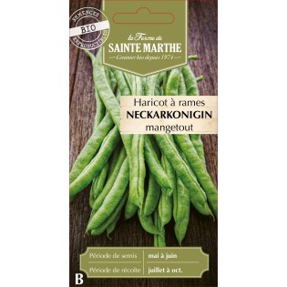 HARICOT A RAME NECKARKONINGIN BIO SCH 10G