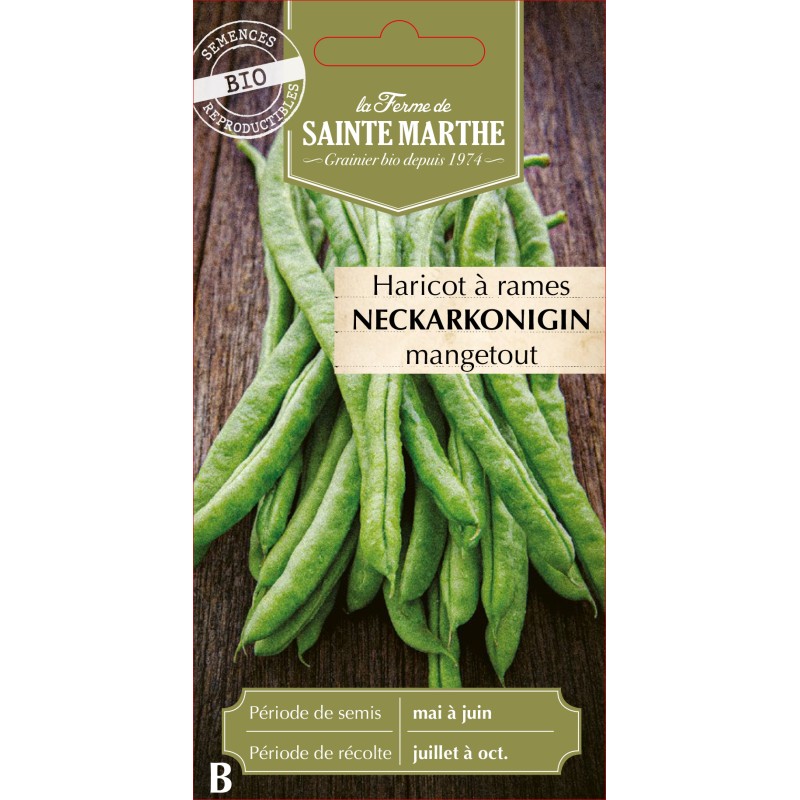 HARICOT A RAME NECKARKONINGIN BIO SCH 10G