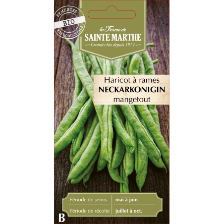 HARICOT A RAME NECKARKONINGIN BIO SCH 10G
