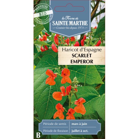 HARICOT D'ESPAGNE BIO