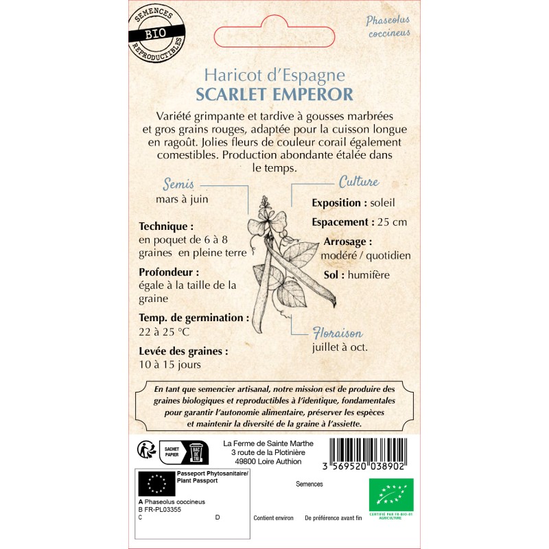 HARICOT D'ESPAGNE BIO