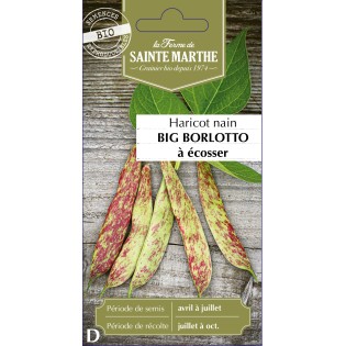 HARICOT NAIN A ECOSSER BIG BORL BIO