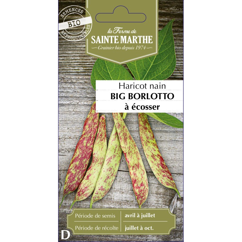 HARICOT NAIN A ECOSSER BIG BORL BIO