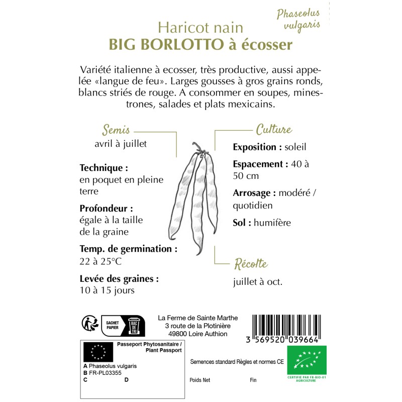 HARICOT NAIN A ECOSSER BIG BORL BIO