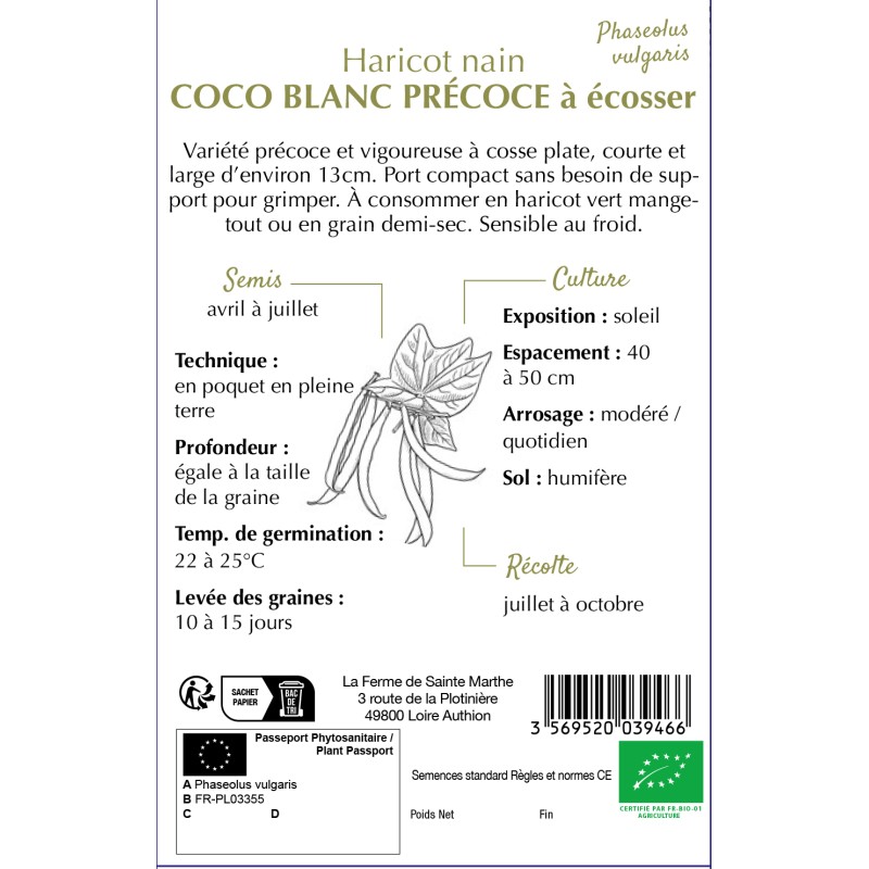 HARICOT COCO BLANC PRECOCE A ECOSSER BIO