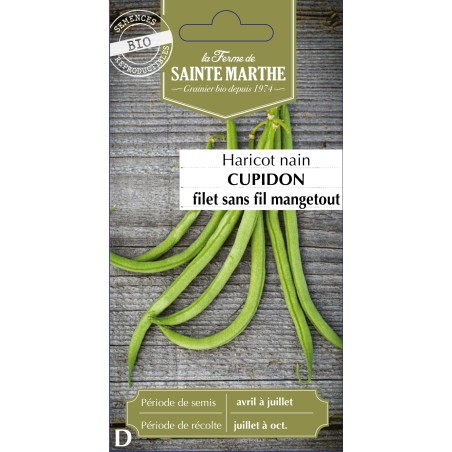 HARICOT NAIN FILET CUPIDON BIO