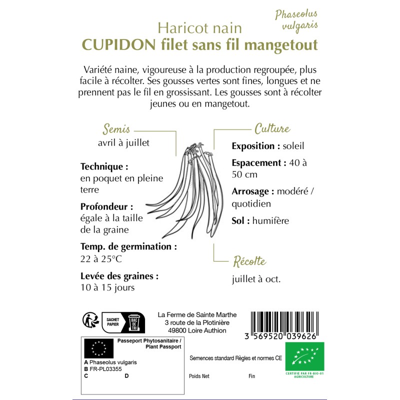 HARICOT NAIN FILET CUPIDON BIO
