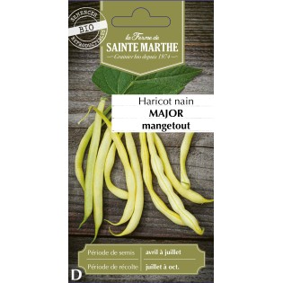 HARICOT NAIN BEURRE MAJOR BIO 80G