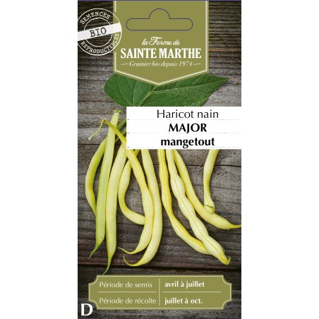 HARICOT NAIN BEURRE MAJOR BIO 80G