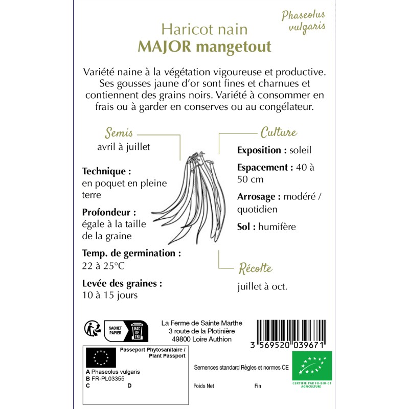 HARICOT NAIN BEURRE MAJOR BIO 80G
