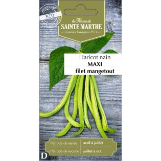 HARICOT NAIN FILET MAXI BIO