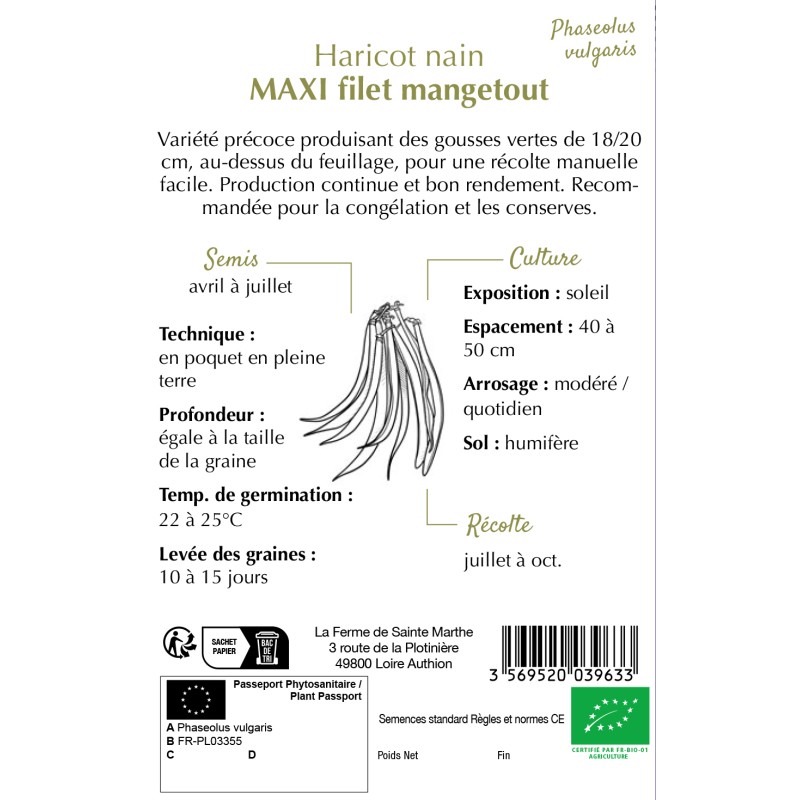 HARICOT NAIN FILET MAXI BIO
